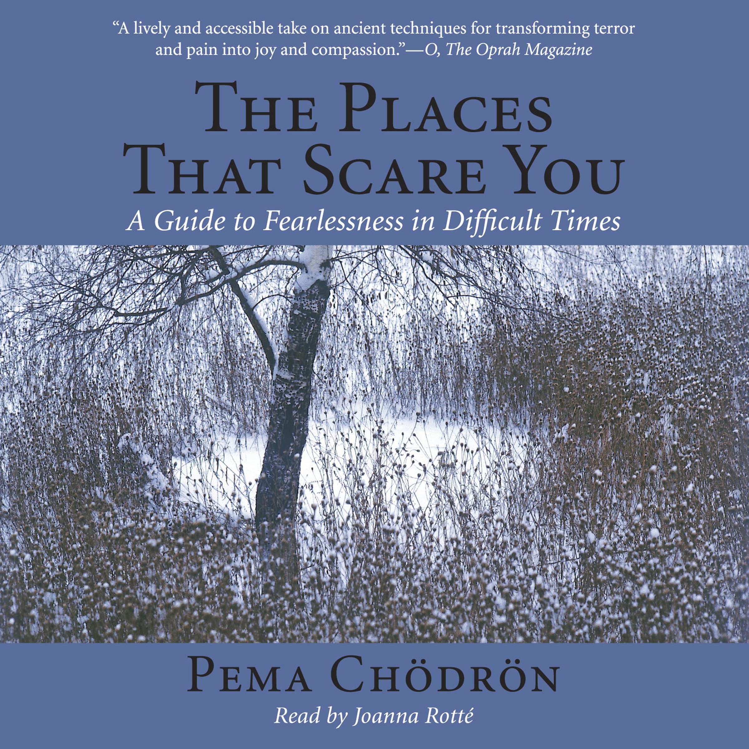 Algopix Similar Product 12 - The Places That Scare You A Guide to