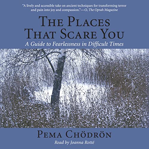 Algopix Similar Product 6 - The Places That Scare You A Guide to