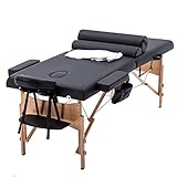 Algopix Similar Product 11 - BestMassage 2 Fold Portable Massage