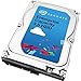 Algopix Similar Product 5 - Seagate Enterprise Capacity