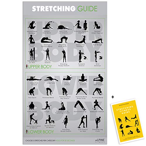 Algopix Similar Product 8 - Alpine Choice Laminated Stretching