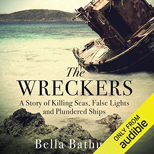 Algopix Similar Product 9 - The Wreckers A Story of Killing Seas