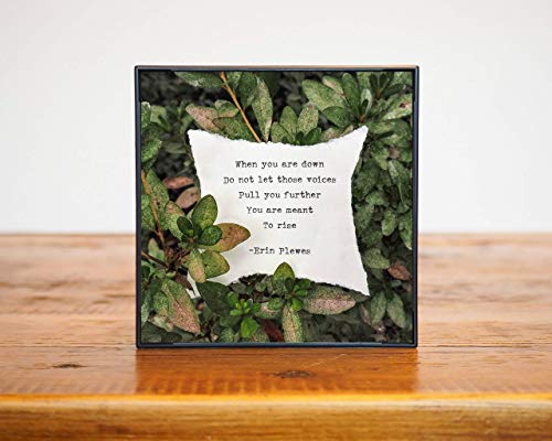 Algopix Similar Product 18 - You Are Meant To Rise Inspirational