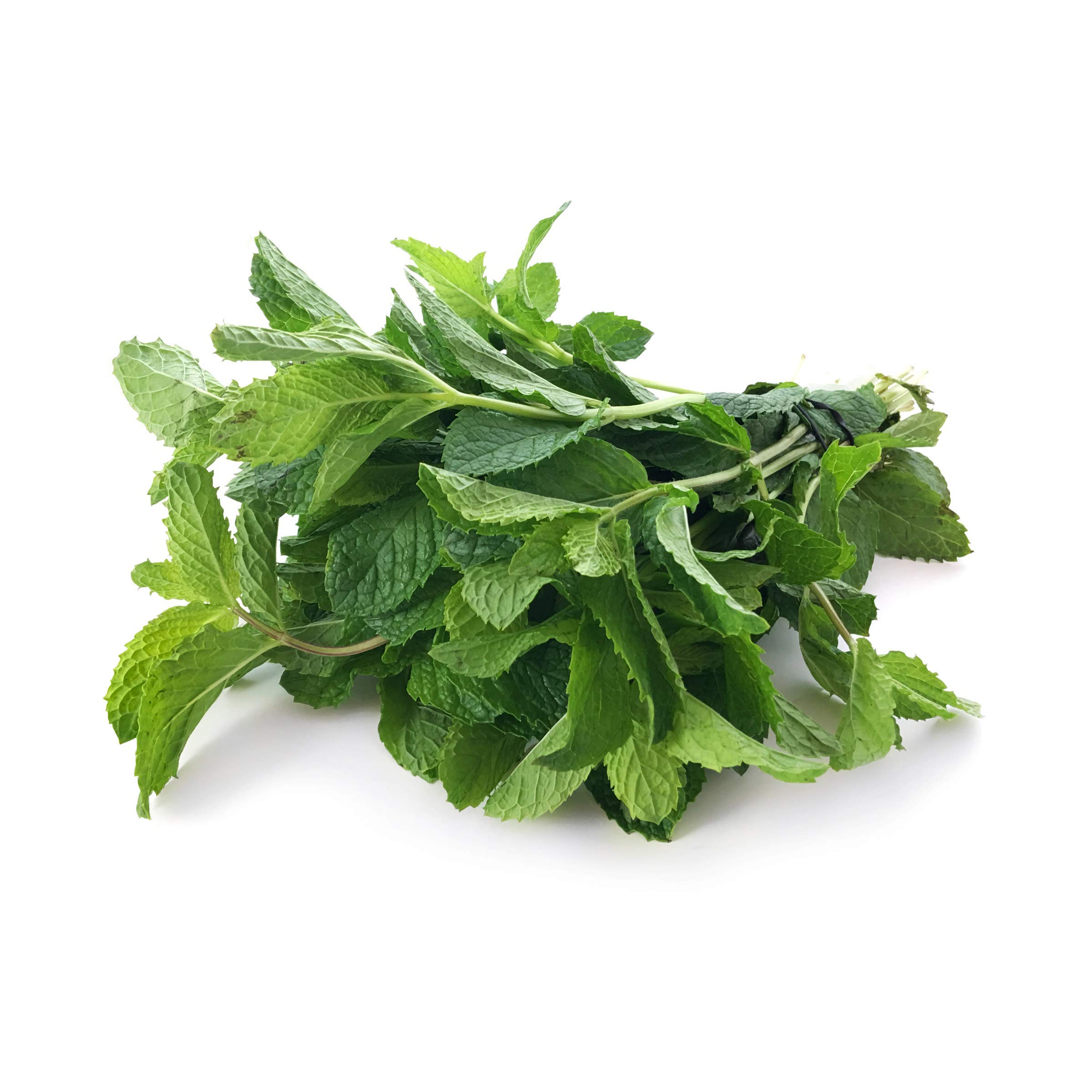 Algopix Similar Product 6 - Organic Mint, 1 Bunch
