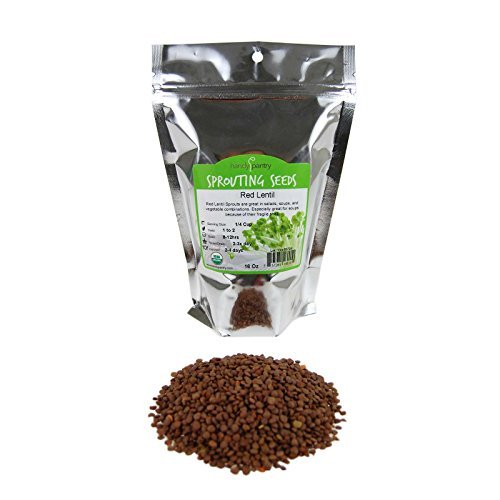 Algopix Similar Product 14 - PASHA MEZZE Red Lentil Soup, 16 OZ