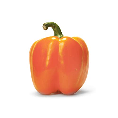 Algopix Similar Product 4 - Orange Pepper Bell