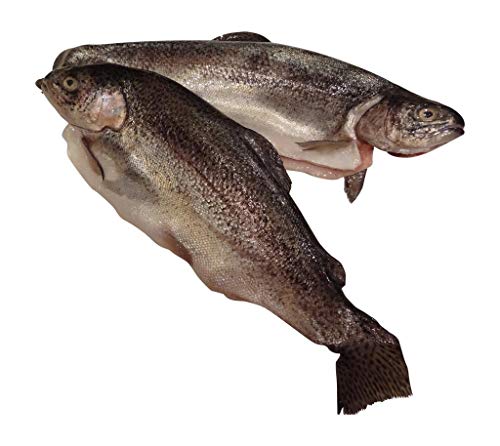 Algopix Similar Product 11 - Trout Whole Rainbow Farm Raised