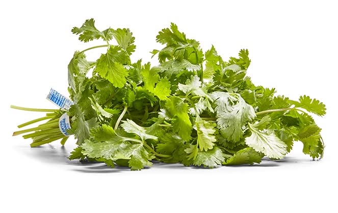 Algopix Similar Product 3 - Herb Cilantro Organic, 1 Bunch