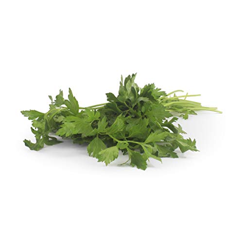 Algopix Similar Product 12 - Organic Italian Parsley, 1 Bunch