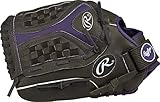Algopix Similar Product 6 - Rawlings Storm Youth Fastpitch Softball