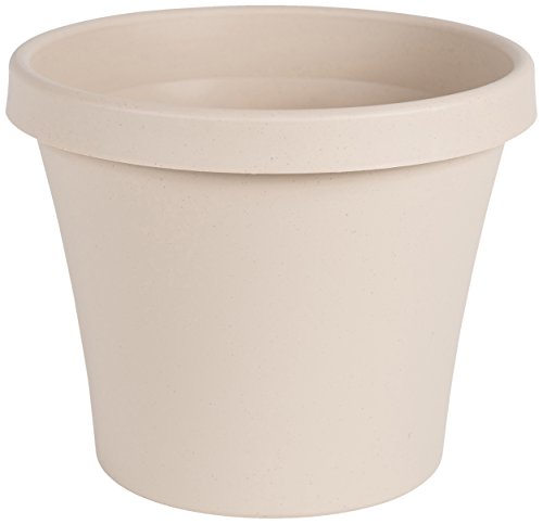 Algopix Similar Product 19 - Bloem Terra Pot Planter 8" Taupe
