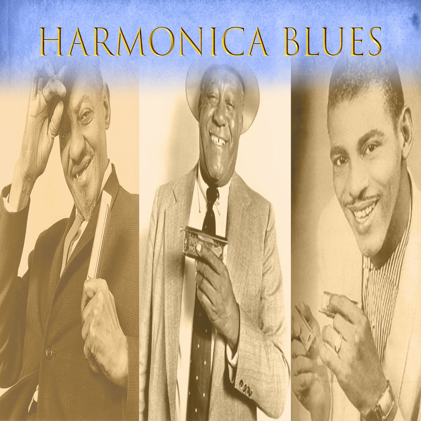 Algopix Similar Product 10 - Harmonica Blues