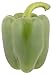 Algopix Similar Product 13 - Organic Green Bell Pepper