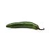 Algopix Similar Product 19 - Serrano Pepper