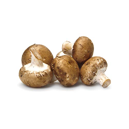 Algopix Similar Product 7 - Mushroom Baby Bella Brown Organic