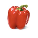 Algopix Similar Product 17 - Red Bell Pepper