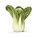 Algopix Similar Product 12 - Organic Baby Bok Choy