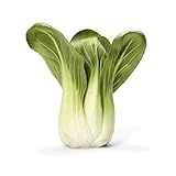 Algopix Similar Product 2 - Organic Baby Bok Choy
