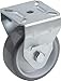 Algopix Similar Product 11 - Meister 802910 Fixed Castor