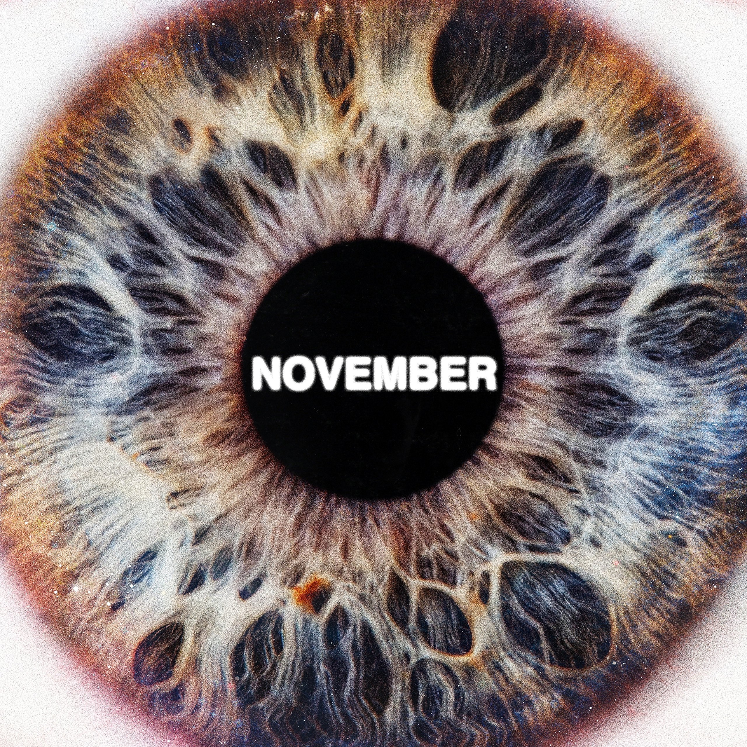 Algopix Similar Product 11 - November [Explicit]