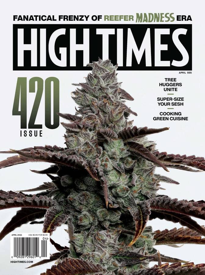 Algopix Similar Product 4 - High Times - Auto Renewal