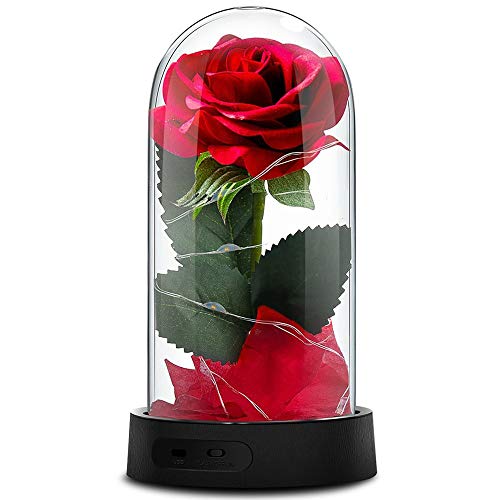 Algopix Similar Product 7 - Beauty and The Beast RoseEnchanted Red