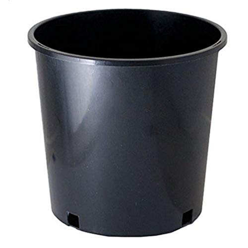 Algopix Similar Product 12 - rEarth Trade Durable Nursery Pot 2