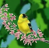 Algopix Similar Product 18 - Continental Art Center Gold Finch On A
