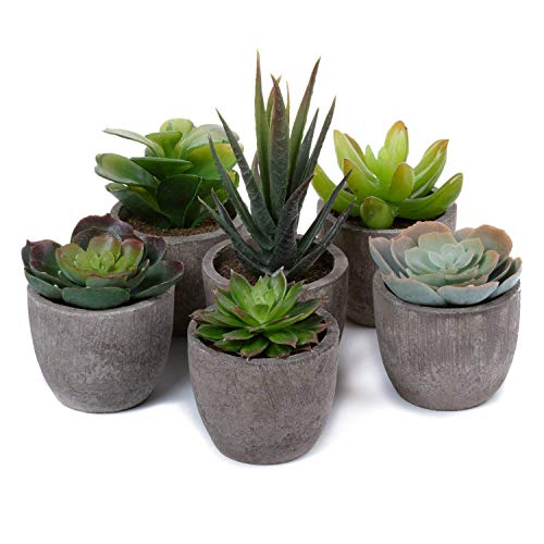 Algopix Similar Product 2 - T4U Artificial Succulent Plants Potted