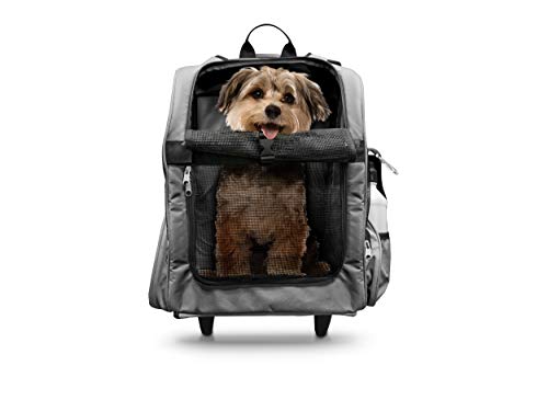 Algopix Similar Product 3 - FurHaven Pet Backpack  BackpackRoller