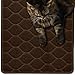 Algopix Similar Product 1 - Mighty Monkey Waterproof BPA Free Cat