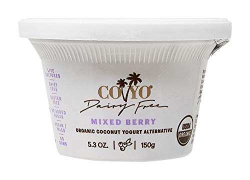 Algopix Similar Product 10 - Co Yo Yogurt Dairy free Alternative