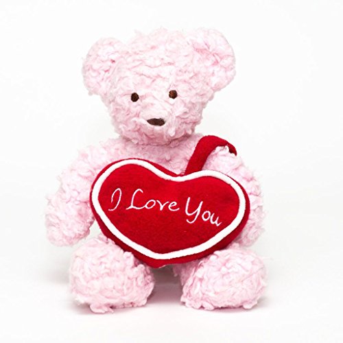Algopix Similar Product 1 - Bears For Humanity 10 I Love You Bear