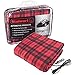 Algopix Similar Product 4 - Stalwart M600032 12V Plaid Electric