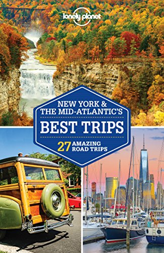 Algopix Similar Product 11 - Lonely Planet New York  the