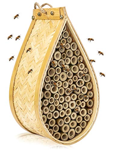 Algopix Similar Product 18 - KIBAGA Mason Bee House  Handmade