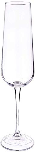 Algopix Similar Product 8 - Circleware 44604 Concerto Champagne