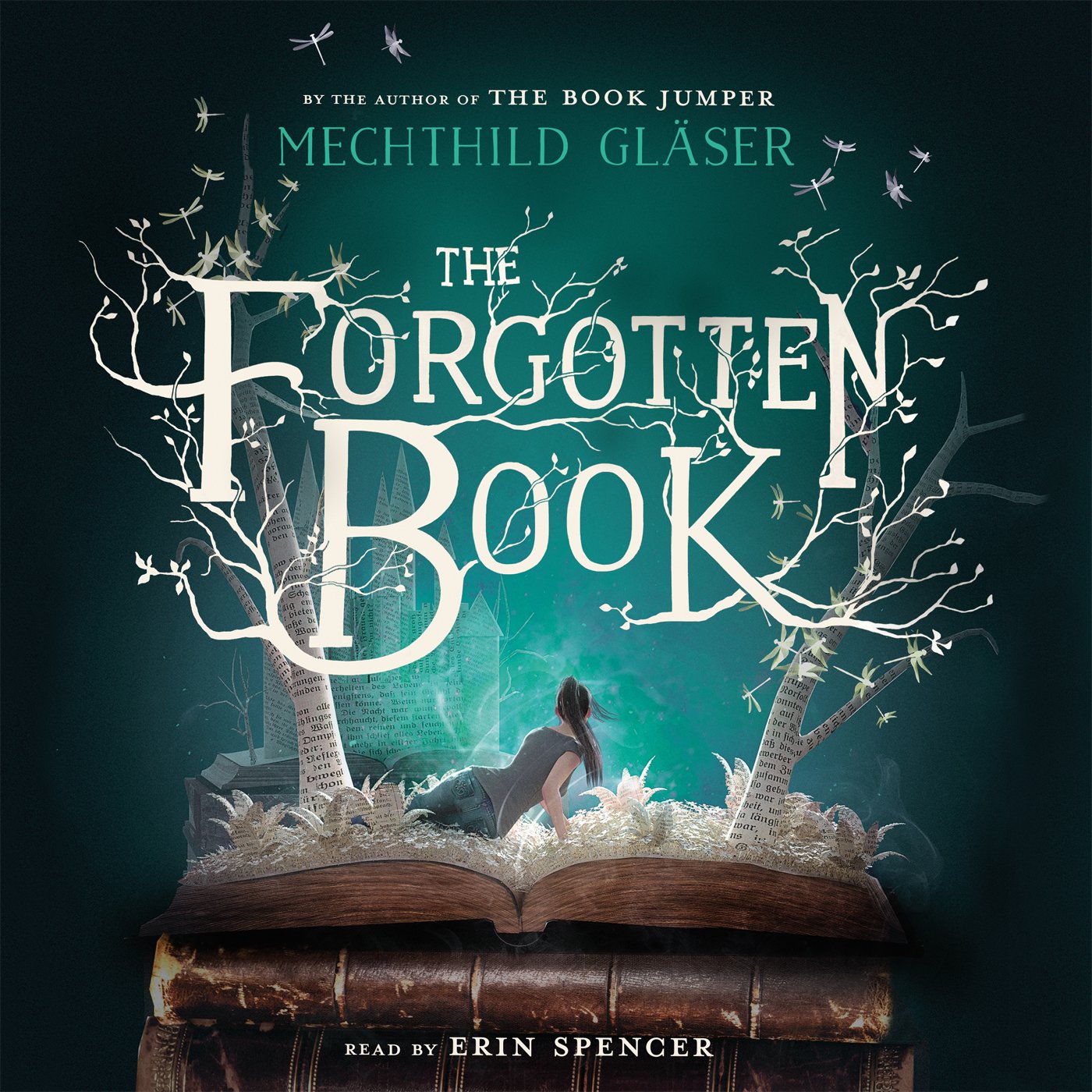 Algopix Similar Product 7 - The Forgotten Book
