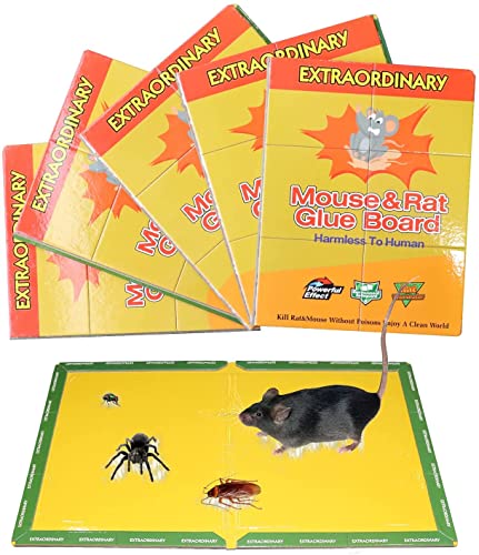 Algopix Similar Product 17 - Mouse Glue Trap Extra Large Rat Glue