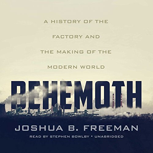 Algopix Similar Product 12 - Behemoth A History of the Factory and