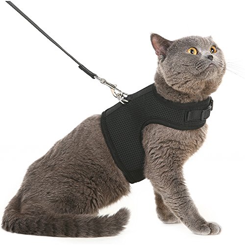 Algopix Similar Product 7 - PUPTECK Soft Mesh Cat Vest Harness and
