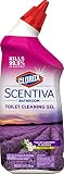 Algopix Similar Product 3 - Clorox Scentiva Toilet Cleaning Gel