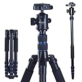 Algopix Similar Product 8 - Foldable Camera Tripod Adjustable