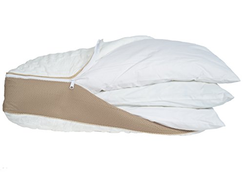 Algopix Similar Product 13 - Dream Essence Layer Pillow  Adjustable