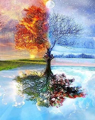 Algopix Similar Product 1 - DIY Paint by Numbers for Adults DIY Oil