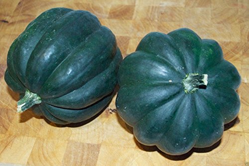 Algopix Similar Product 10 - Winter SquashTable Queen Acorn 