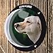 Algopix Similar Product 7 - EXPAWLORER Dog Fence Window  Clear