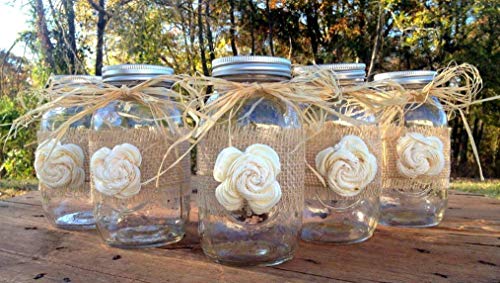 Algopix Similar Product 19 - Set of 5 Rustic Mason Jars with Sola