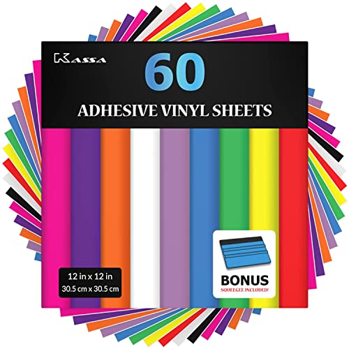 Algopix Similar Product 20 - Kassa 60Piece Permanent Vinyl Sheets 