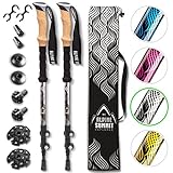 Algopix Similar Product 9 - Alpine Summit HikingTrekking Poles